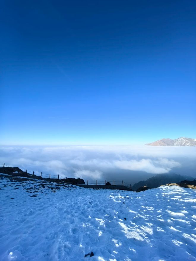 口碑指南:问疆行、西域文旅成新宠!新葡京2025 乌鲁木齐旅行社全新(图2) 口碑指南:问疆行、西域文旅成新宠!新葡京2025 乌鲁木齐旅行社全新(图2)