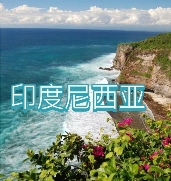 电商(印尼)产业博览会新葡京2025中国国际(图2) 电商(印尼)产业博览会新葡京2025中国国际(图2)